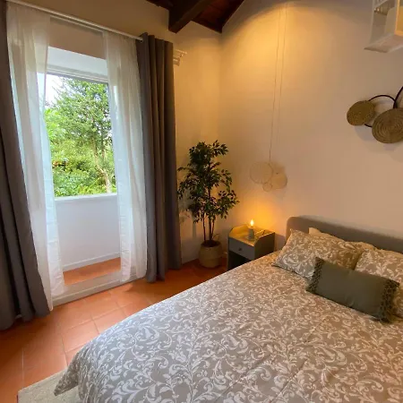 Ribeira Do Guilherme - Watermill House Botanic Garden